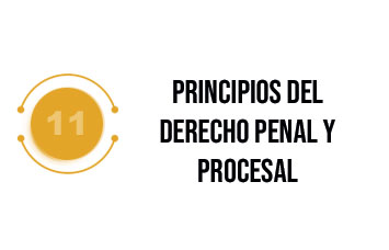 Principios del Derecho penal y procesal